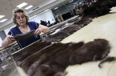 Производители шуб в России столкнулись с нехваткой меха и ростом цен на сырье