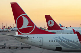 Комиссия СПЧ обратилась к послу Турции из-за ситуации с Turkish Airlines