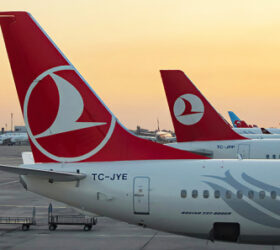 Комиссия СПЧ обратилась к послу Турции из-за ситуации с Turkish Airlines